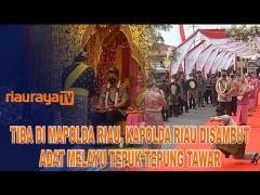 KAPOLDA RIAU IRJEN M.IQBAL DI SAMBUT ADAT TEPUK TEPUNG TAWAR